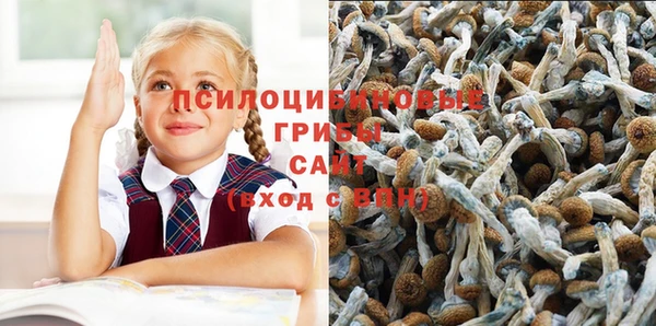Альфа ПВП Нея