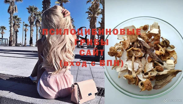 спайс Абаза