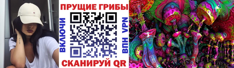 omg ТОР Темрюк Псилоцибиновые грибы мицелий даркнет сайт
