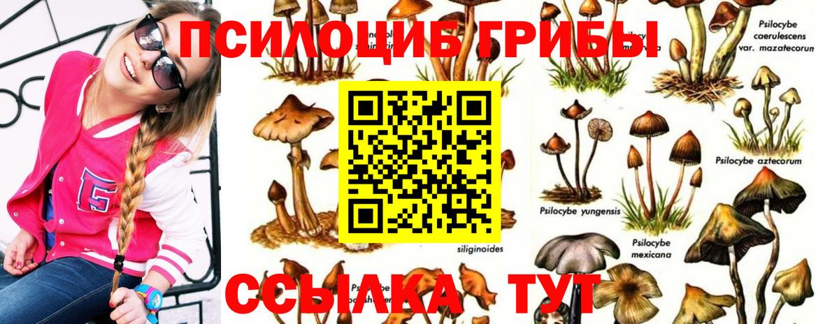 Темрюк  Псилоцибиновые грибы Magic Shrooms  Псилоцибиновые грибы Magic Shrooms  Вход с VPN 