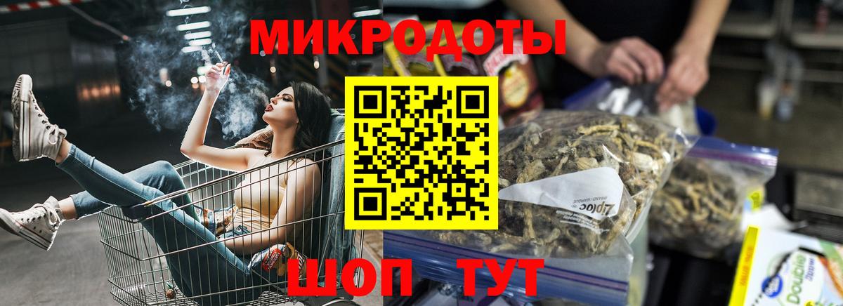 Галлюциногенные грибы Psilocybe Темрюк
