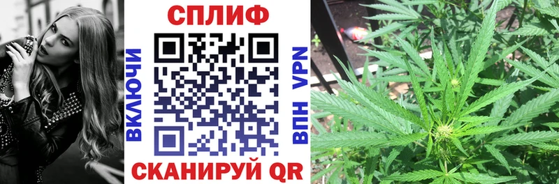 где найти   Темрюк  Бошки Шишки SATIVA & INDICA 